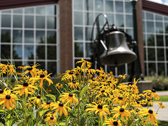 yellow flowers and ringing bell